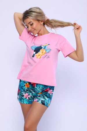 808dc791-37db-495d-a728-0a148cd6c11a