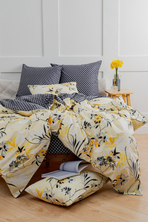 1b0e2681-3996-4a1f-9714-6379b2b373b5